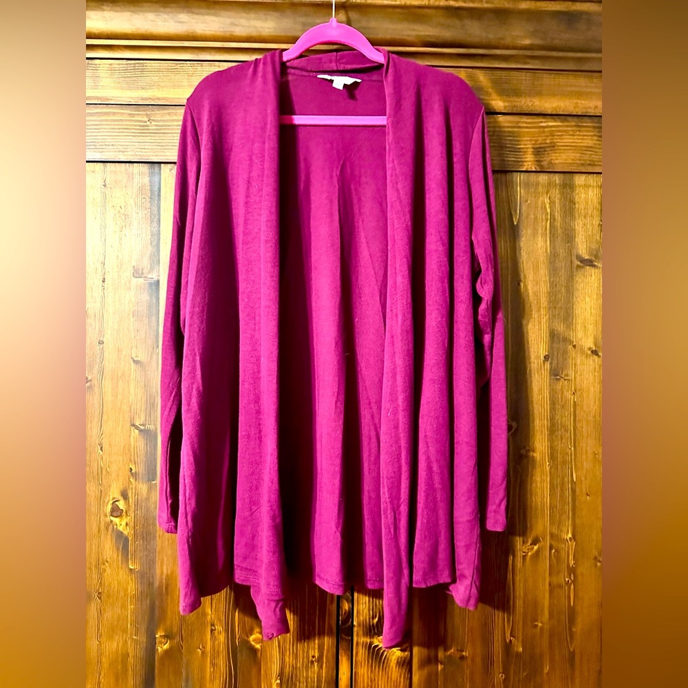 Market & Spruce cardigan 2X